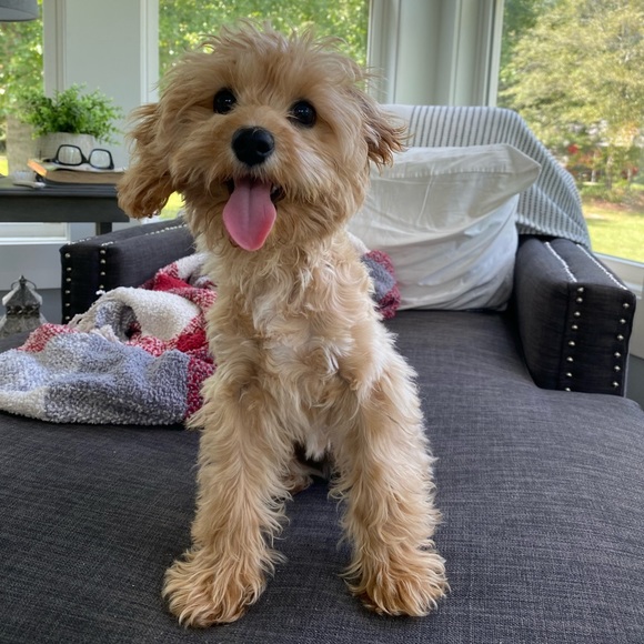 Meet the Posher! - Picture 7 of 7